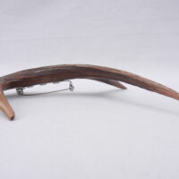 DSCN3880 Scottish Roe Buck Antler Kilt Pin with Burr Wych Elm