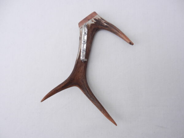 DSCN3882 Scottish Roe Buck Antler Kilt Pin with Burr Wych Elm