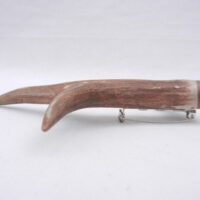 DSCN3886 Scottish Roe Buck Antler Kilt Pin with Burr Wych Elm