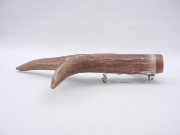 DSCN3886 Scottish Roe Buck Antler Kilt Pin with Burr Wych Elm