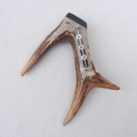 DSCN3903 Scottish Roe Buck Antler Kilt Pin with Bog Oak