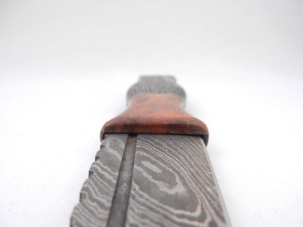 DSCN4101 Bog Oak and Desert Ironwood Burr Damascus Steel Sgian Dubh- sharpened, scottish knife, wedding gift