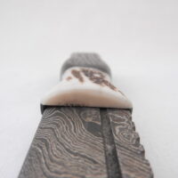 DSCN4207 Scottish Bog Oak and Natural Antler Damascus Sgian Dubh, scottish knife, scottish gift, wedding gift
