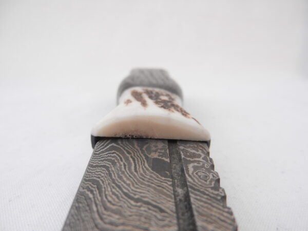 DSCN4207 Scottish Bog Oak and Natural Antler Damascus Sgian Dubh, scottish knife, scottish gift, wedding gift