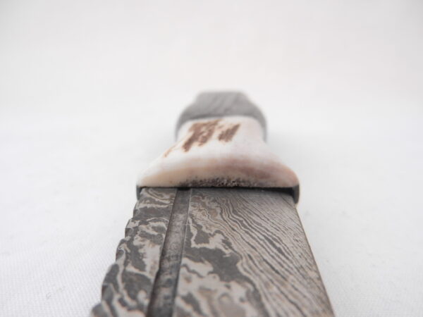 DSCN4208 Scottish Bog Oak and Natural Antler Damascus Sgian Dubh, scottish knife, scottish gift, wedding gift