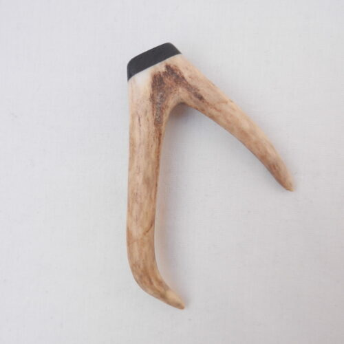 DSCN4183 Scottish Roe Buck Antler Kilt Pin with Bog Oak
