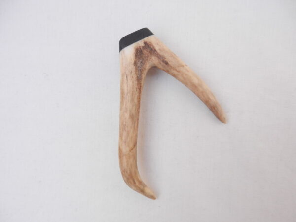 Scottish Roe Buck Antler Kilt Pin with Bog Oak