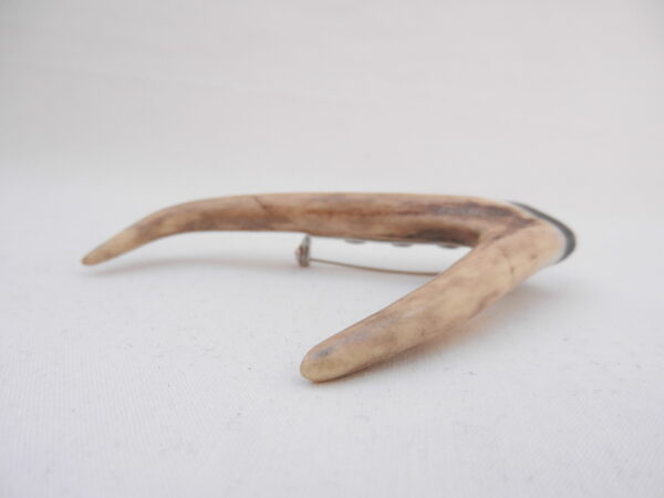Scottish Roe Buck Antler Kilt Pin with Bog Oak