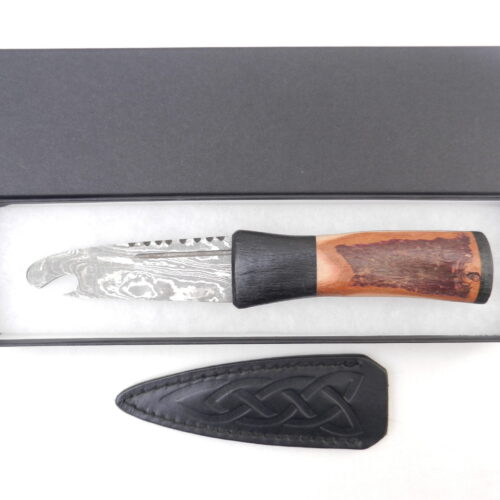DSCN4188 Natural Blackthorn Damascus Sgian Brew with local Bog Oak and Brazilian Purpleheart centre